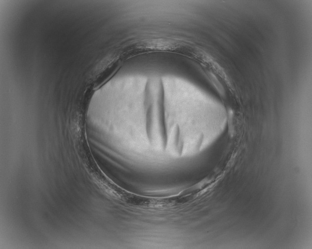 X0000082950305200702152247