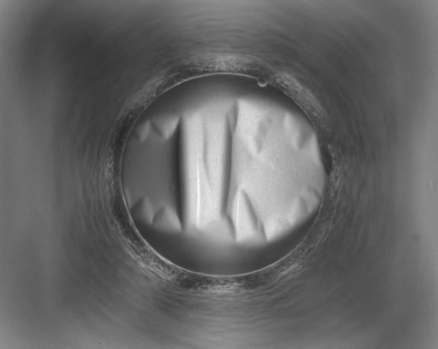 X0000082950306200702152247