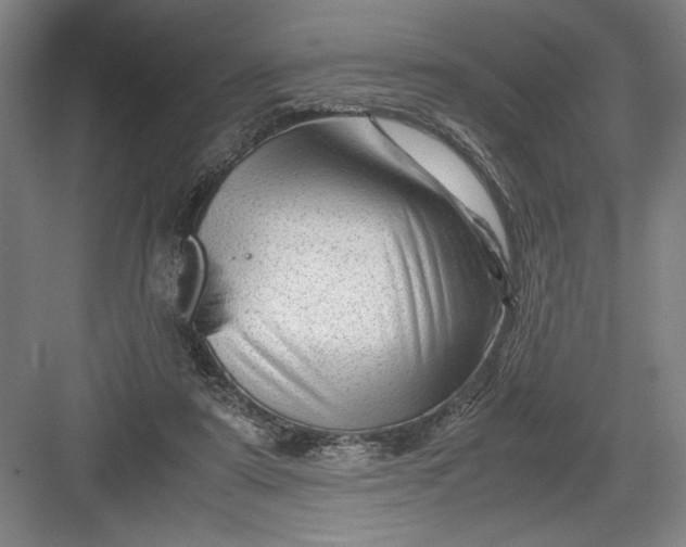 X0000082950307200702152247