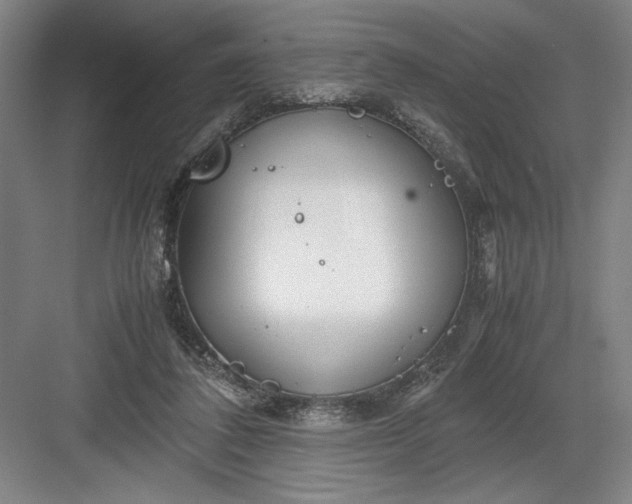 X0000082950308200702152247