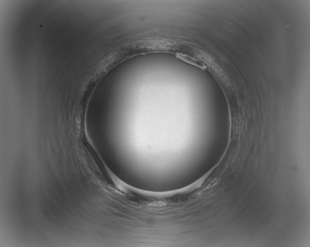 X0000082950309200702152247