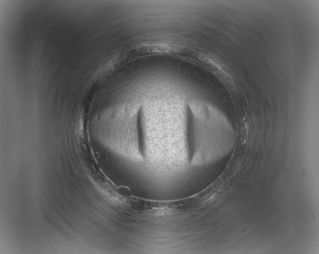 X0000082950310200702152247