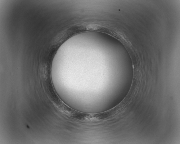 X0000082950311200702152247