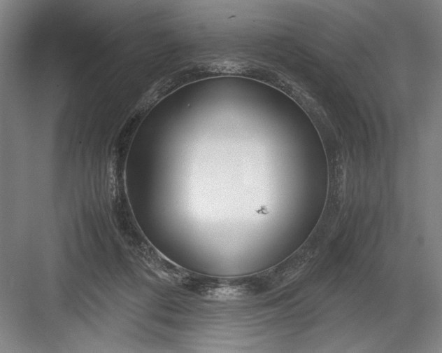 X0000082950312200702152247