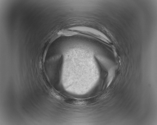 X0000082950313200702152247