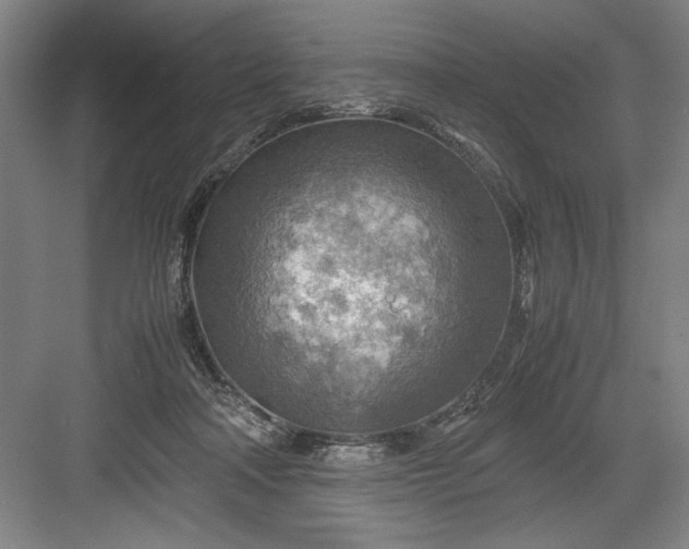 X0000082950314200702152247