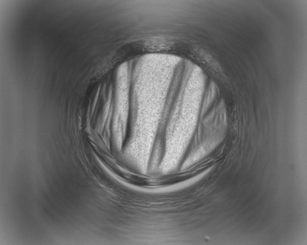 X0000082950315200702152247