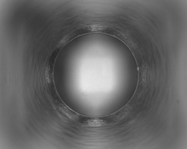 X0000082950316200702152247