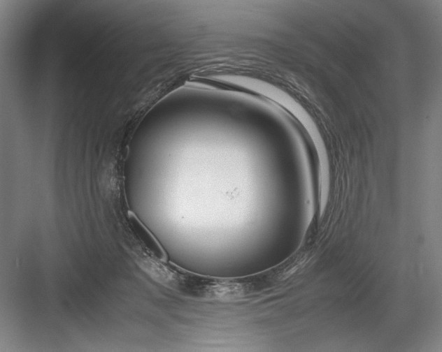 X0000082950317200702152246