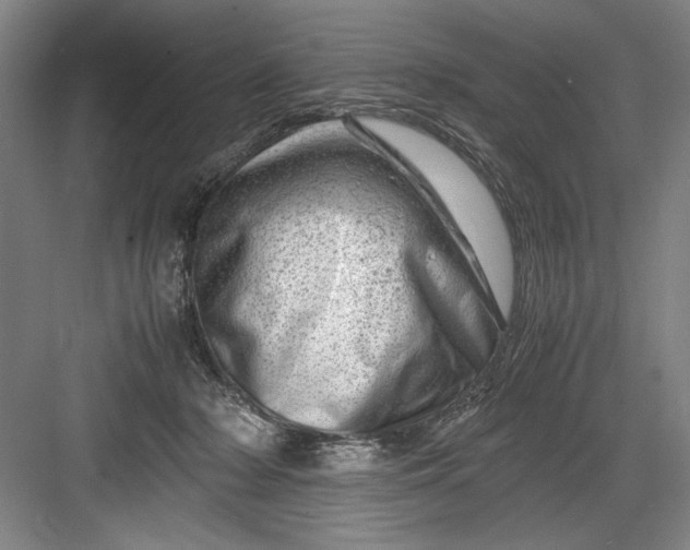 X0000082950318200702152246