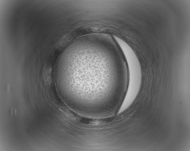 X0000082950319200702152246