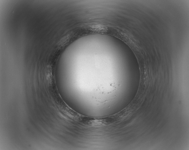 X0000082950320200702152246