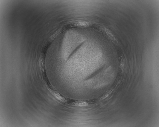 X0000082950322200702152246