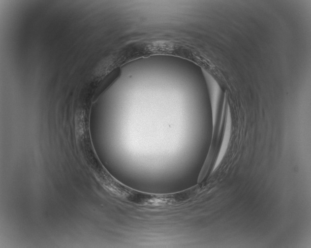 X0000082950323200702152246