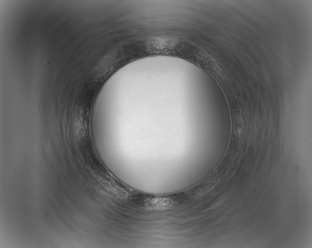 X0000082950324200702152246