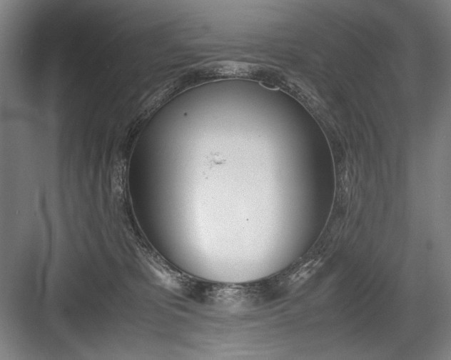 X0000082950325200702152246