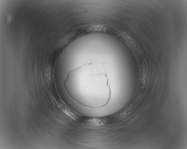 X0000082950326200702152246