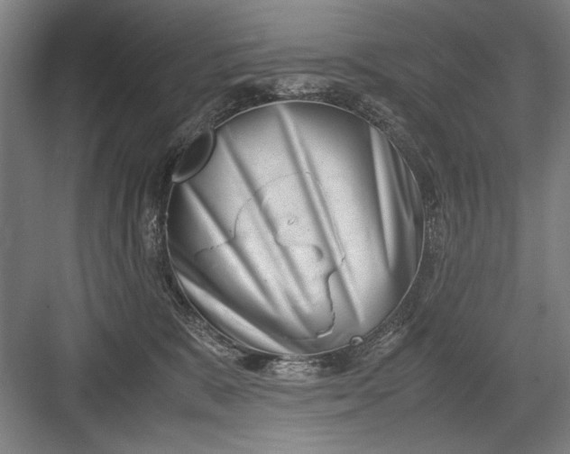 X0000082950327200702152246