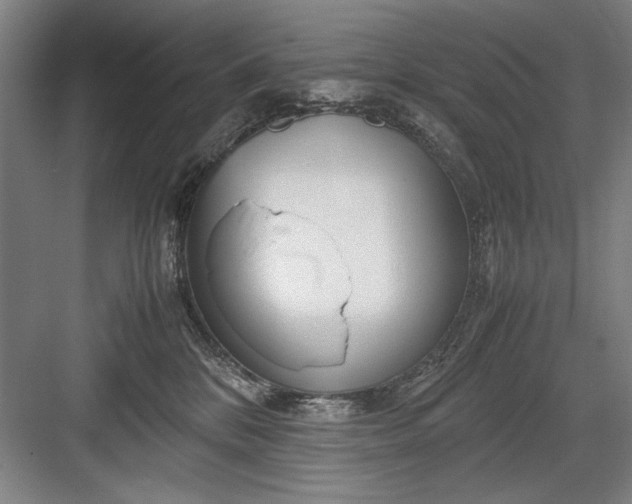 X0000082950328200702152246