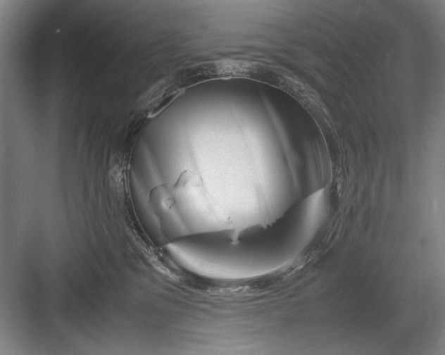 X0000082950329200702152246