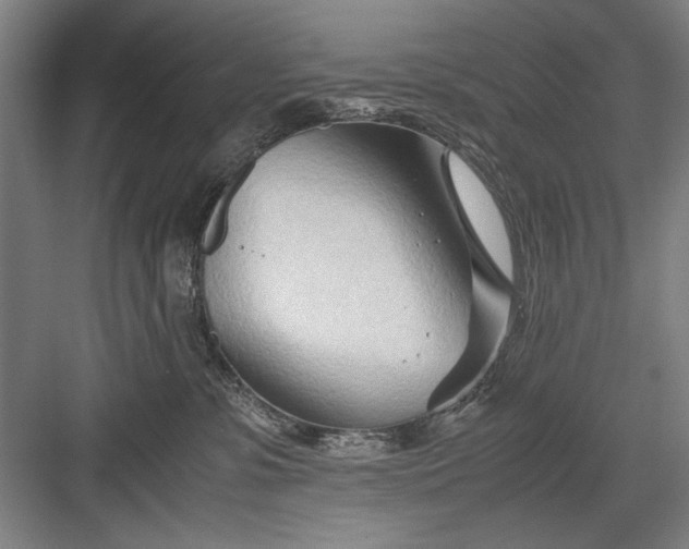 X0000082950331200702152246