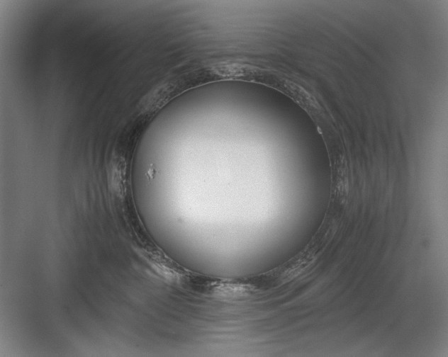 X0000082950332200702152246