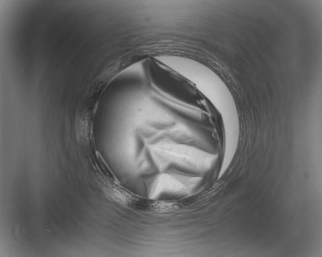 X0000082950333200702152246