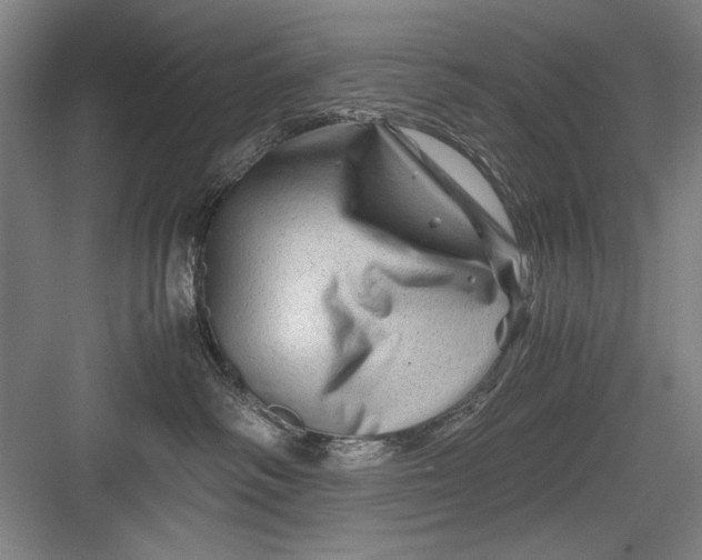 X0000082950334200702152246