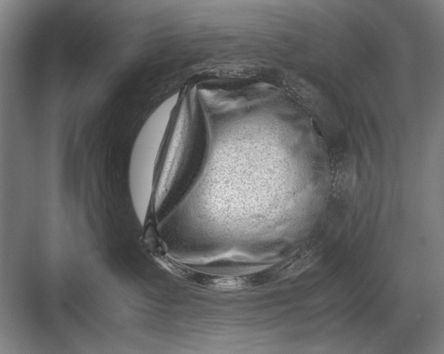 X0000082950335200702152246