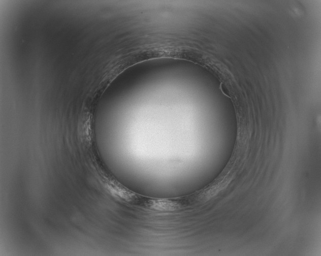 X0000082950336200702152246