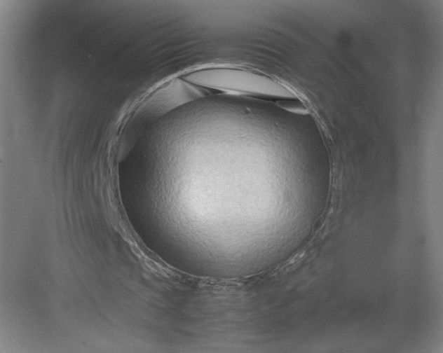 X0000082950337200702152245