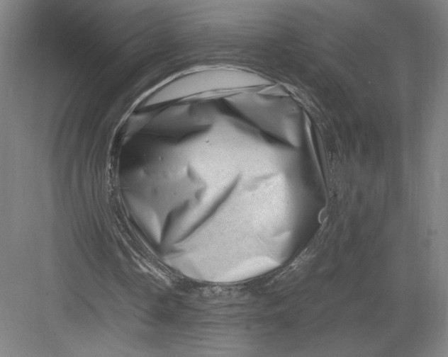 X0000082950338200702152245