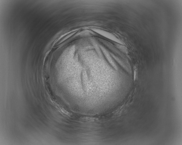 X0000082950339200702152245