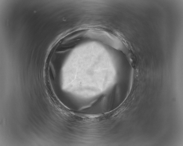 X0000082950340200702152245