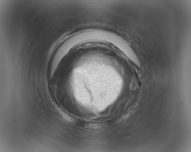 X0000082950341200702152245