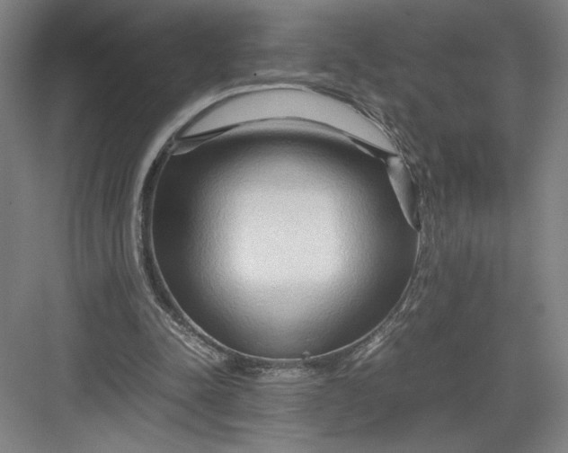 X0000082950342200702152245