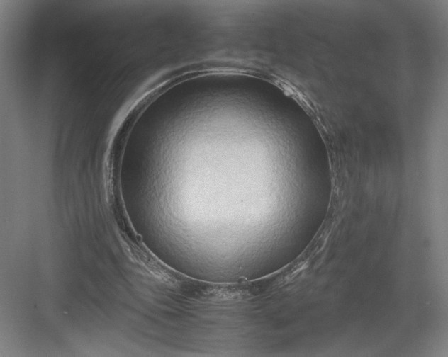 X0000082950343200702152245