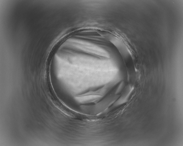 X0000082950344200702152245