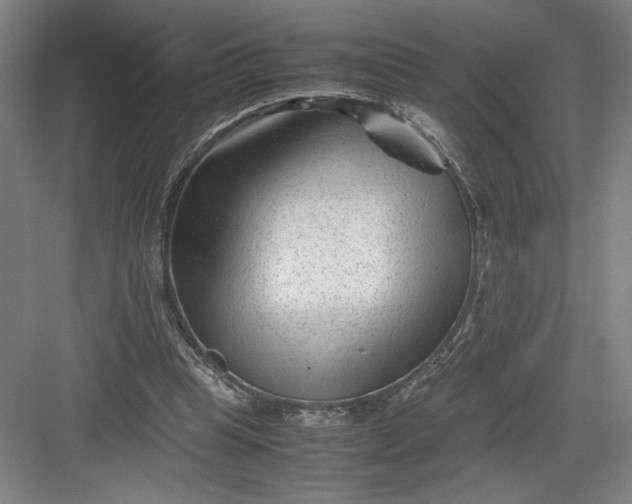 X0000082950345200702152245