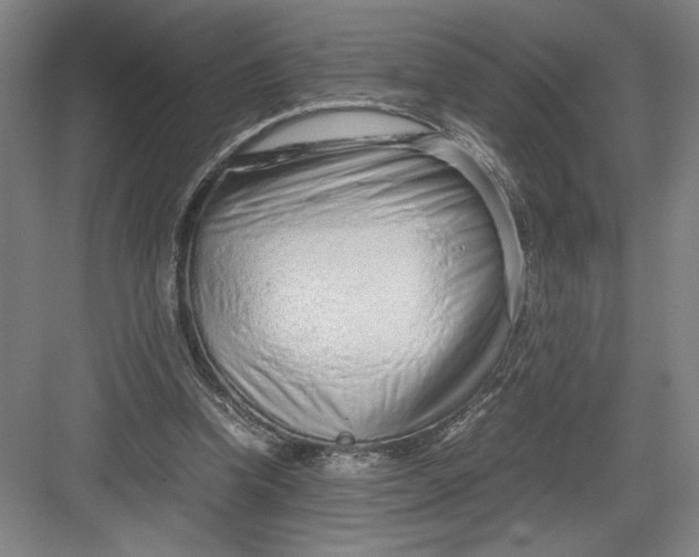 X0000082950346200702152246