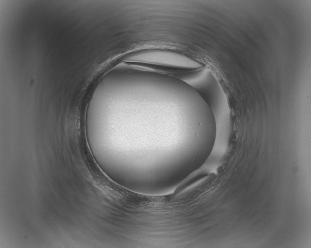 X0000082950348200702152246