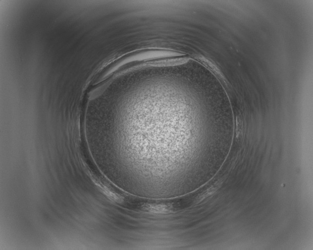 X0000082950349200702152246