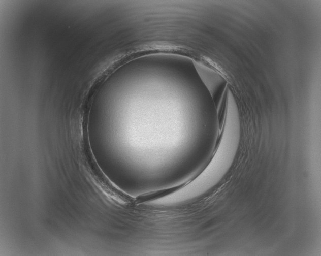 X0000082950350200702152246