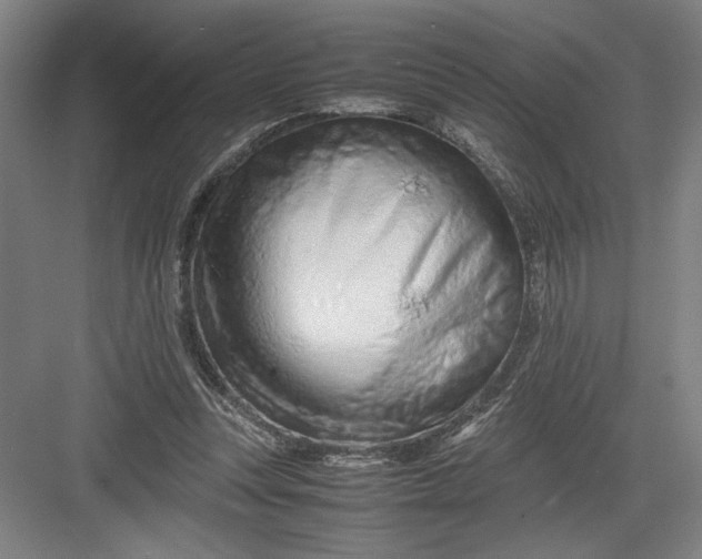 X0000082950351200702152246