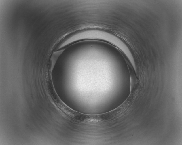 X0000082950352200702152246