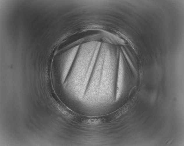 X0000082950353200702152246