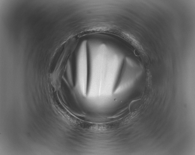 X0000082950354200702152246