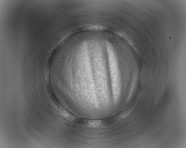 X0000082950355200702152246