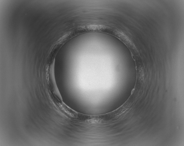 X0000082950356200702152246