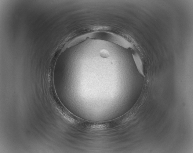 X0000082950357200702152246